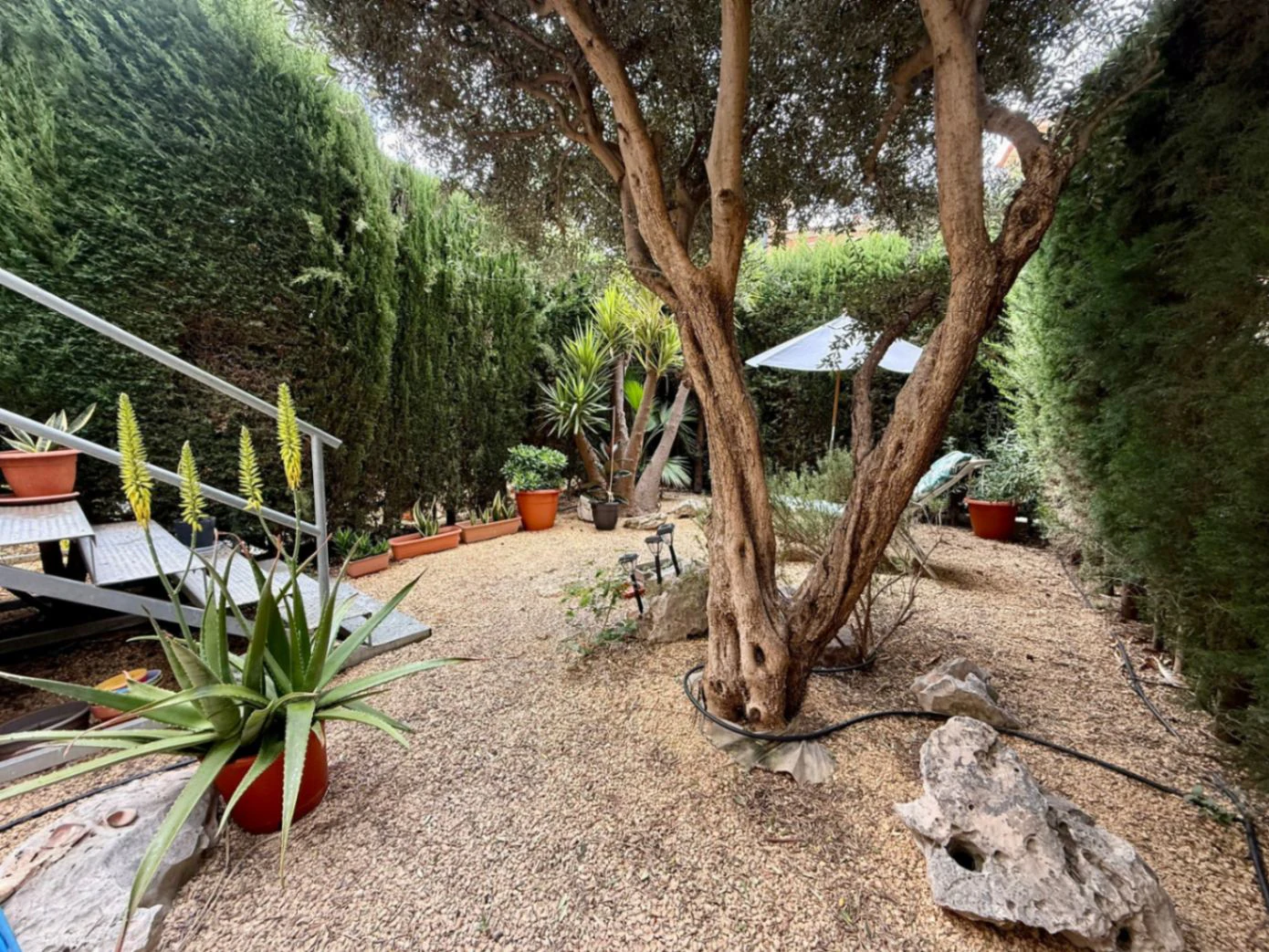 Bajo en Denia de dos dormitorios con jardin privado a 5 minutos de la playa