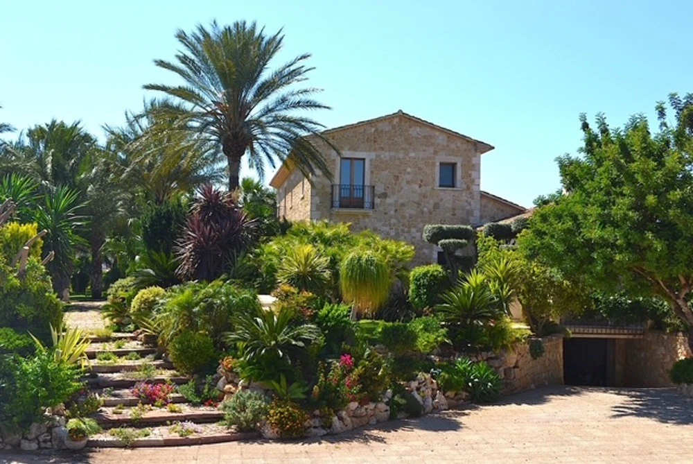 Propriété avec parcelle de 20 000 m à Denia