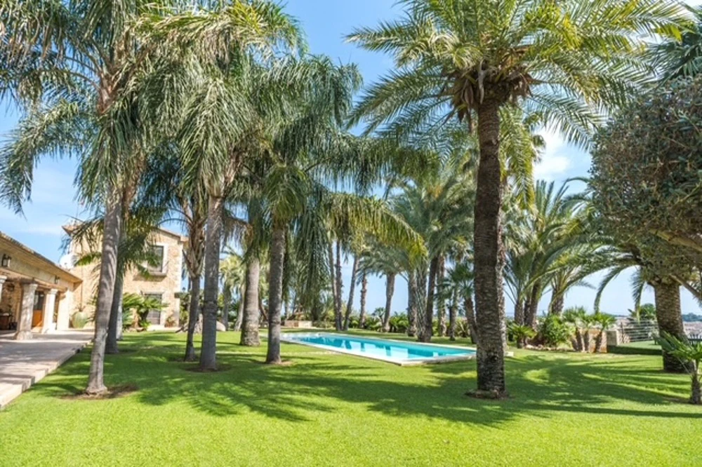 Propriété avec parcelle de 20 000 m à Denia