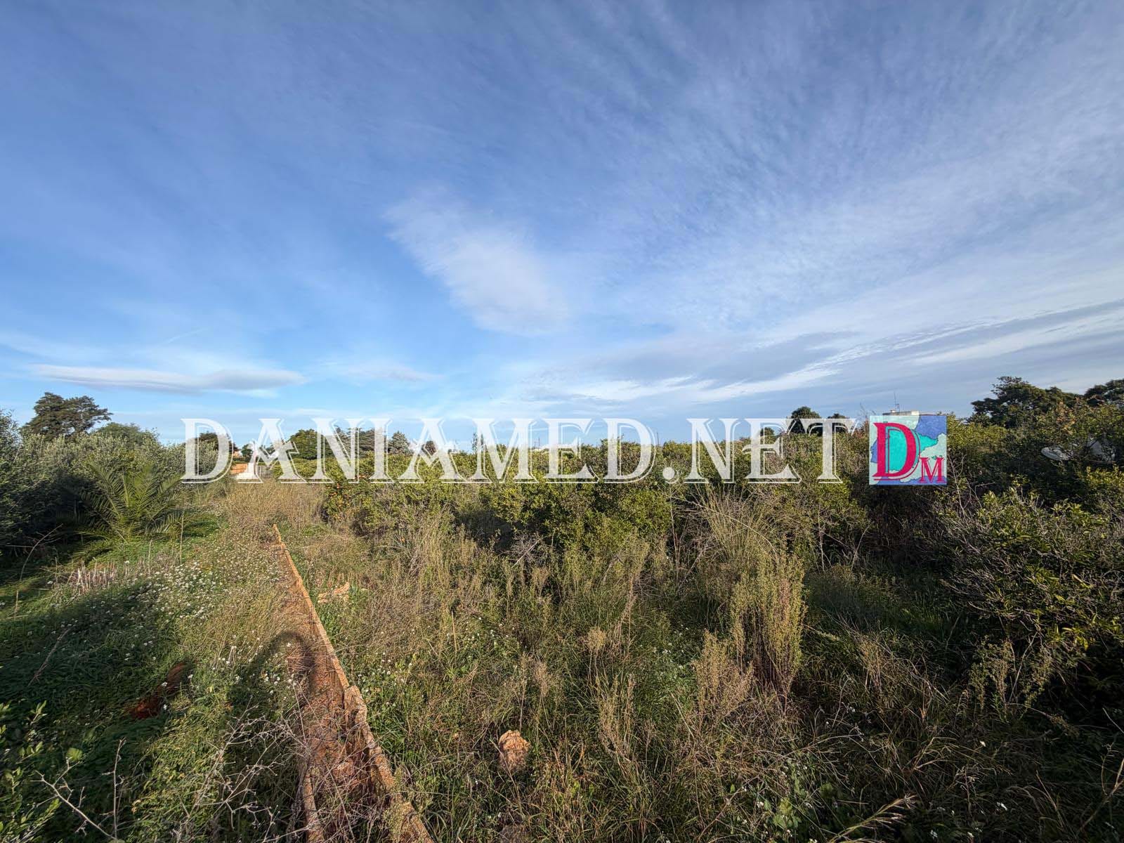 RinoTerreno - Terreno en venta en Ondara con 12,000 m².