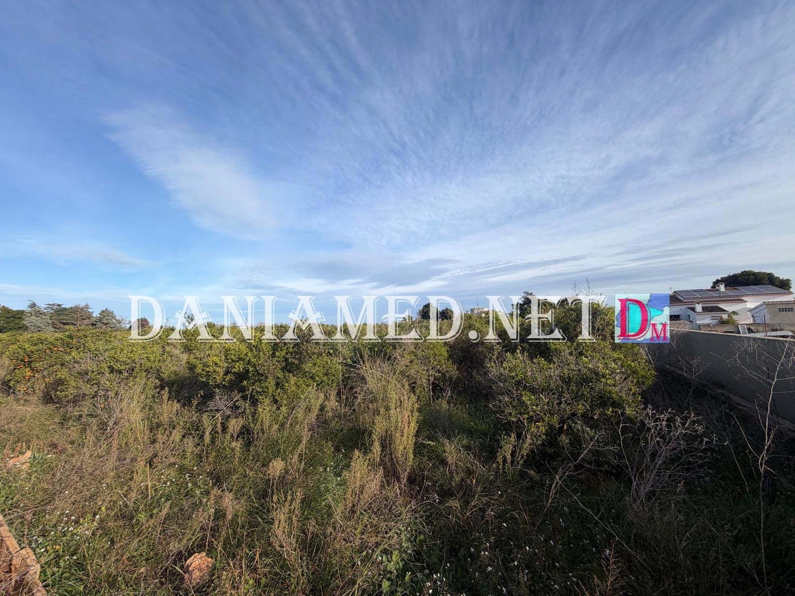 RinoTerreno - Terreno en venta en Ondara con 12,000 m².