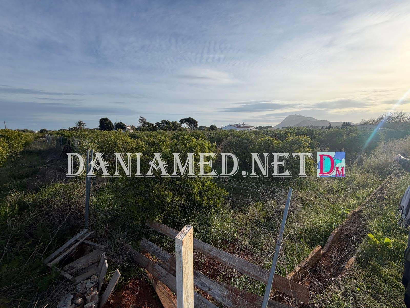 RinoTerreno - Terreno en venta en Ondara con 12,000 m².