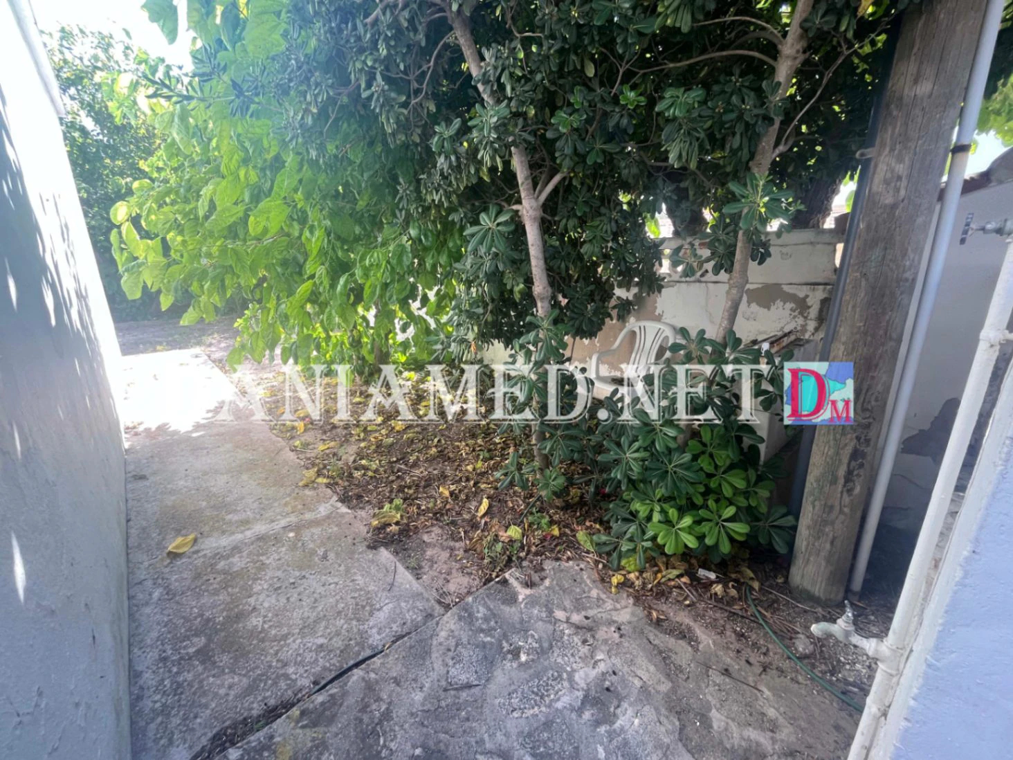 Villamagre - Villa en primera línea de la playa de Les Deveses – No afectada por las normativas costeras