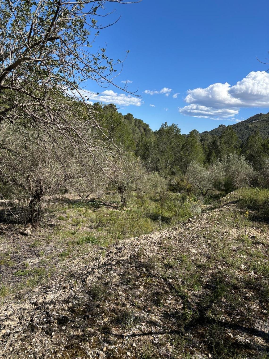 Terreno en venta en Guadalest, Alicante - 12,000 m²