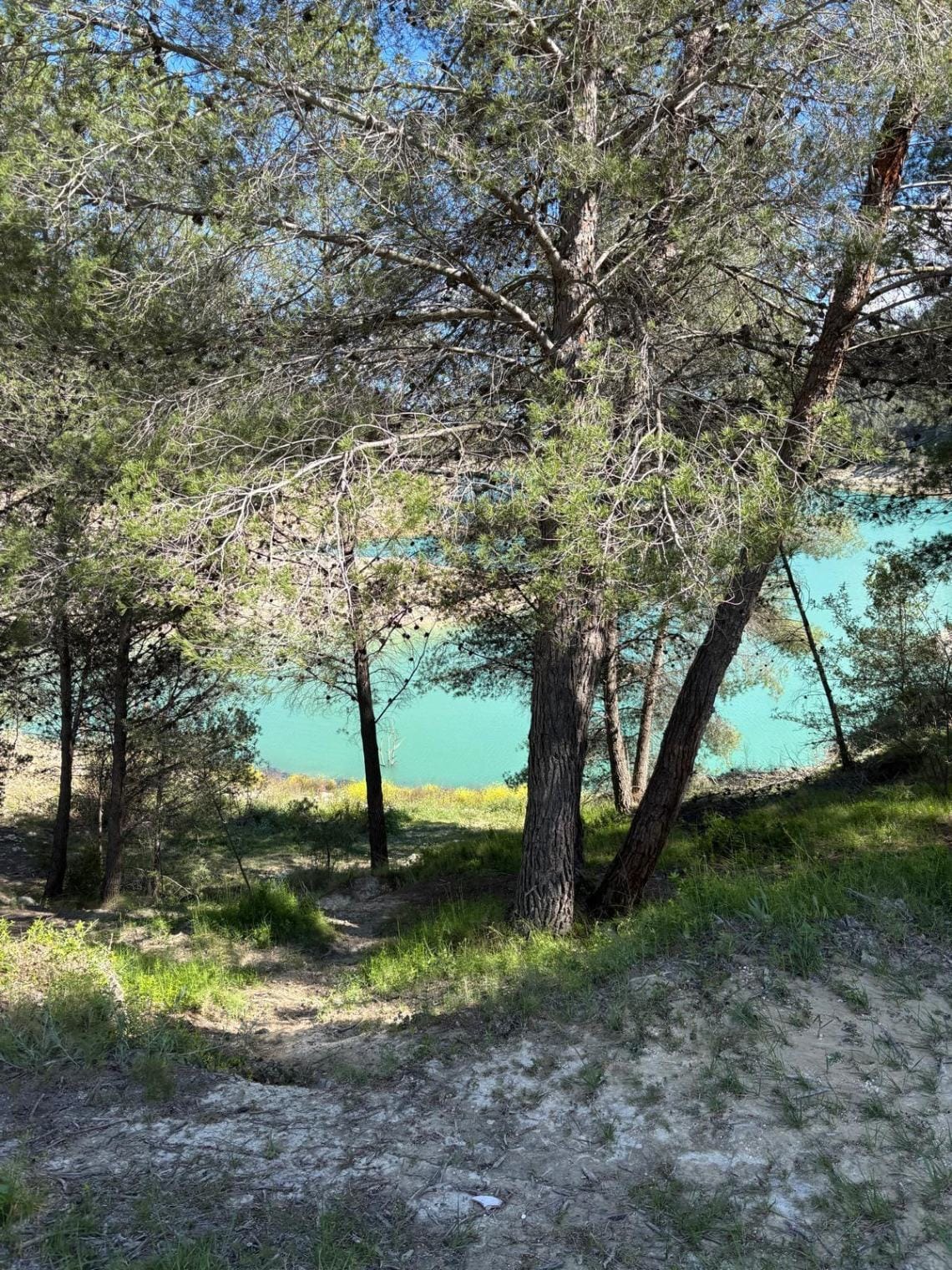 Terreno en venta en Guadalest, Alicante - 12,000 m²