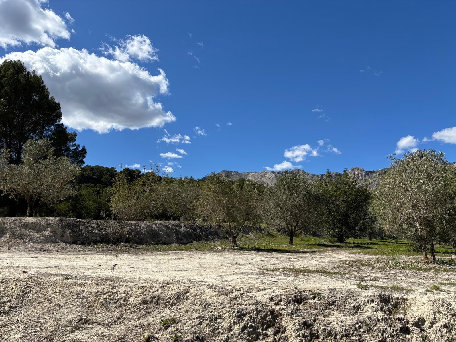 Terreno en venta en Guadalest, Alicante - 12,000 m²