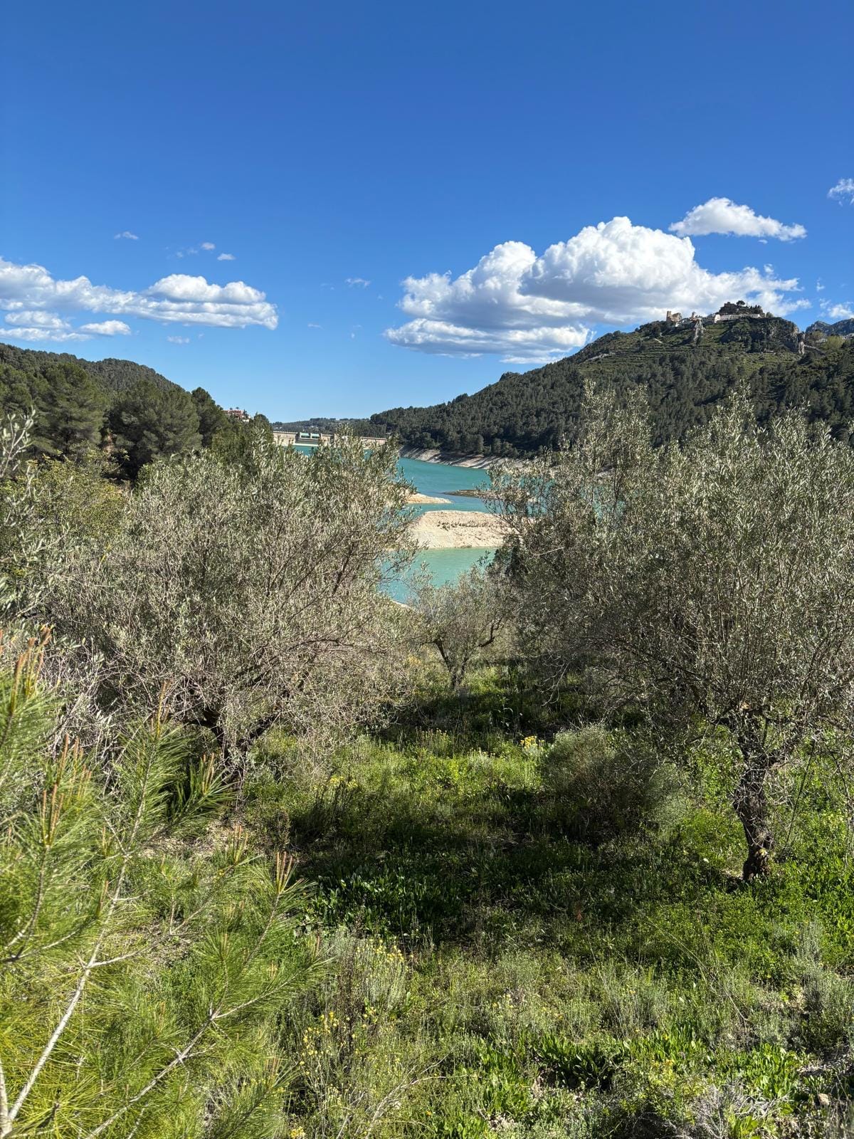 Terreno en venta en Guadalest, Alicante - 12,000 m²
