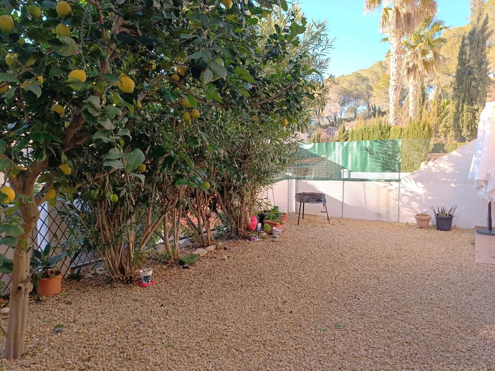Bungalow adosado en Calpe