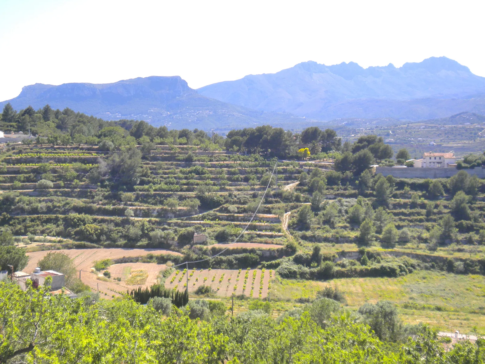 Terreno amplio en Benissa