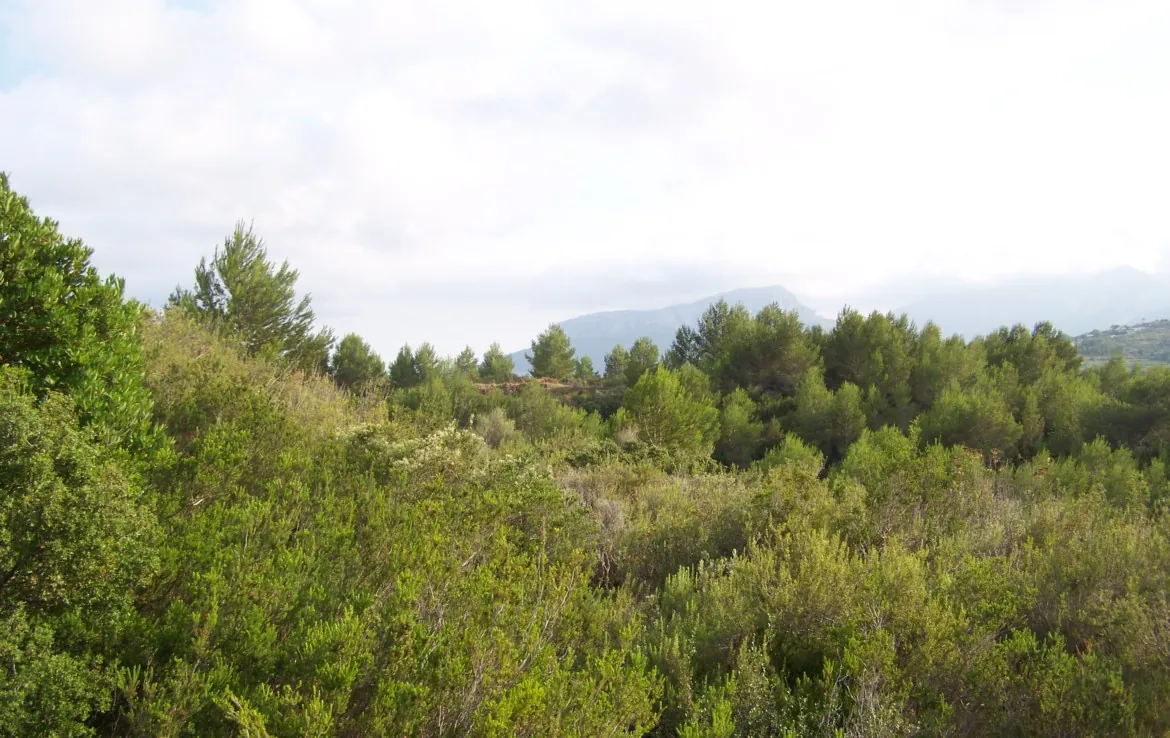 Parcela en venta en Benissa