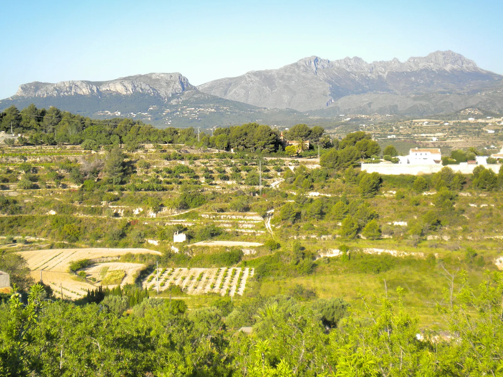 Terreno amplio en Benissa