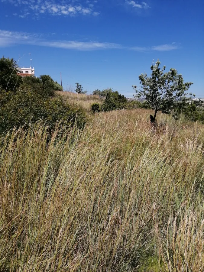 Parcela en venta en Calpe