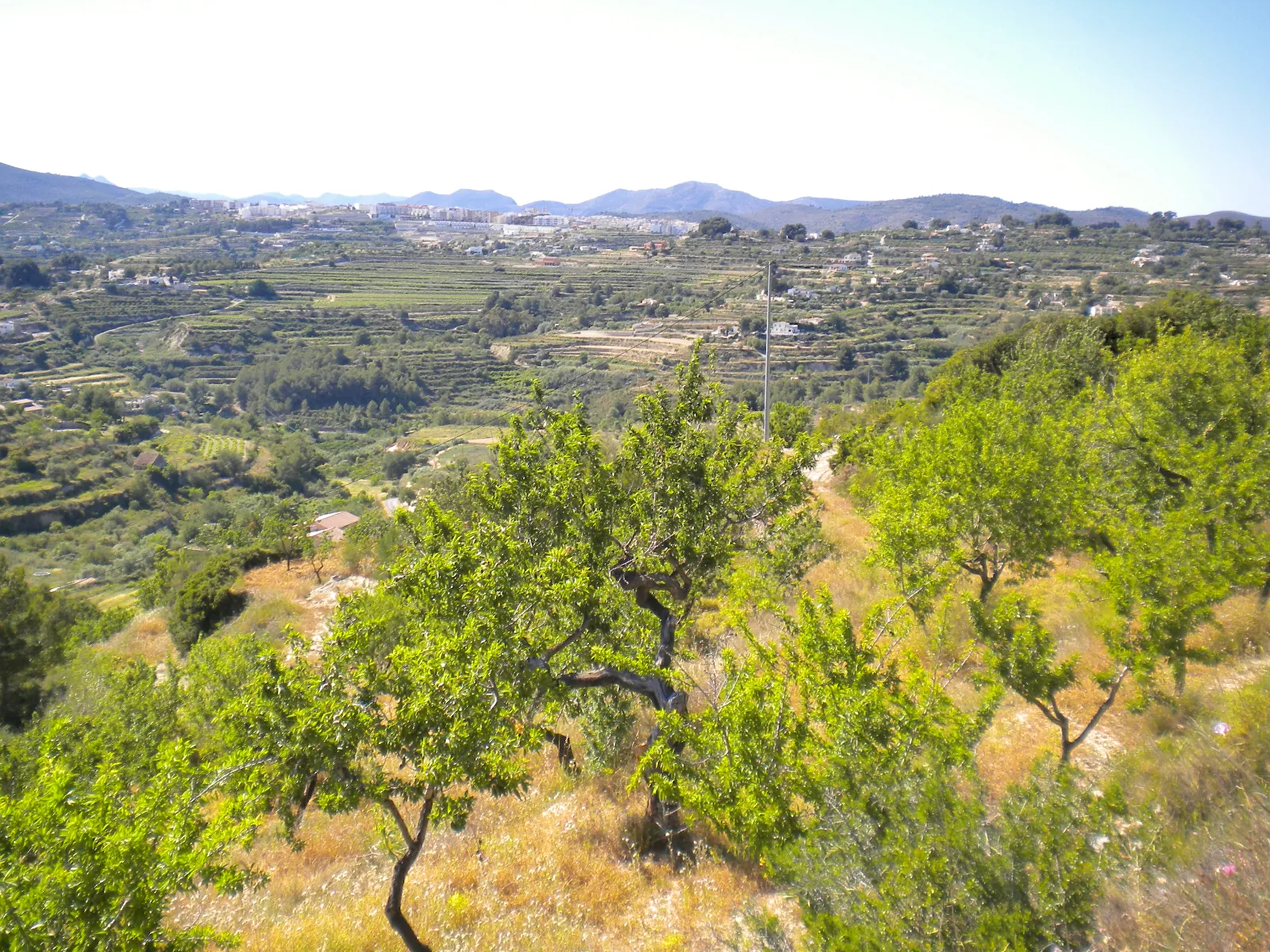 Terreno amplio en Benissa