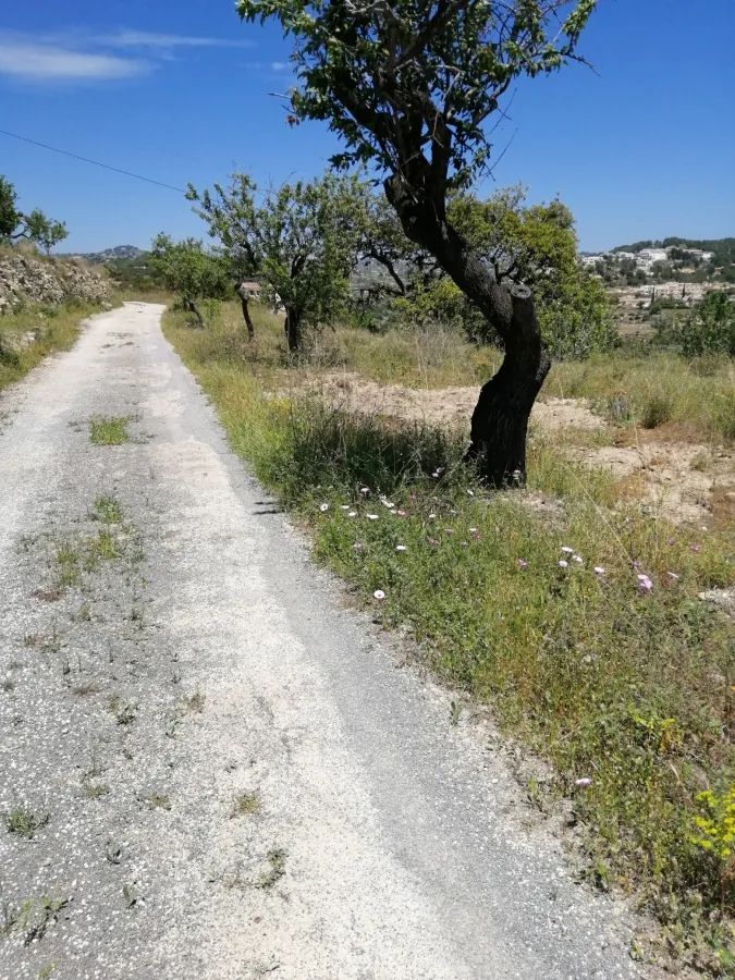 Parcela en venta en Calpe