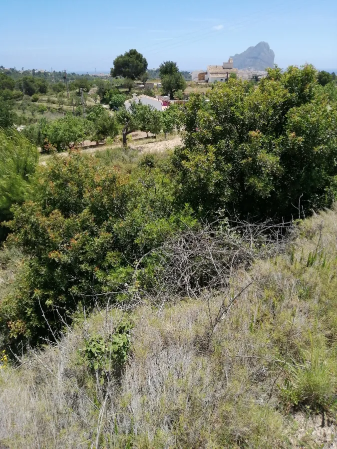 Parcela en venta en Calpe