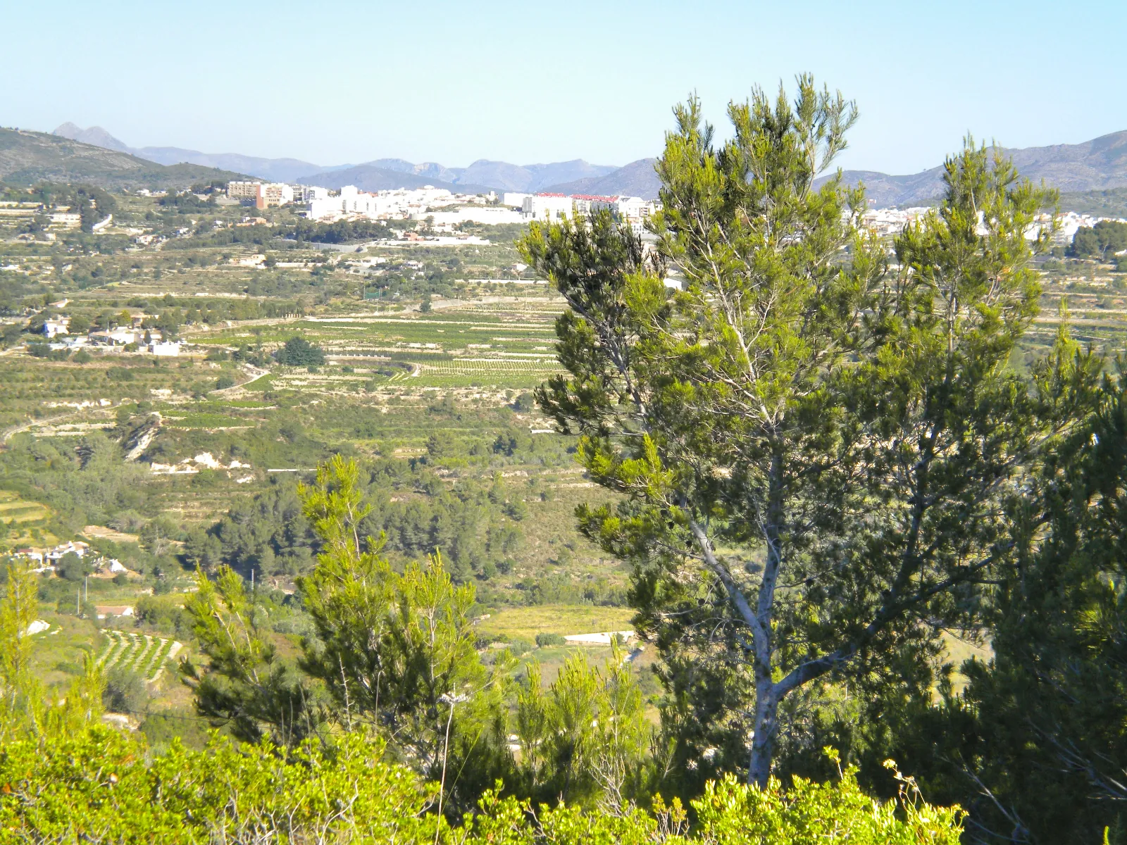 Terreno amplio en Benissa