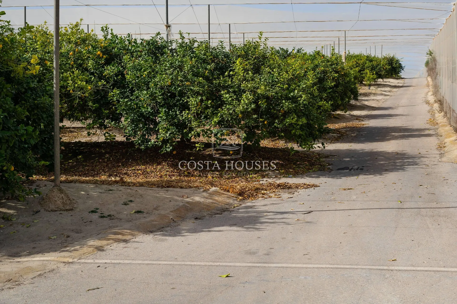 2511VL_FINCAGOLF - Venta Exclusiva Propiedad de 460 Hectáreas con Golf Privado, Torrevieja Alicante | COSTA HOUSES