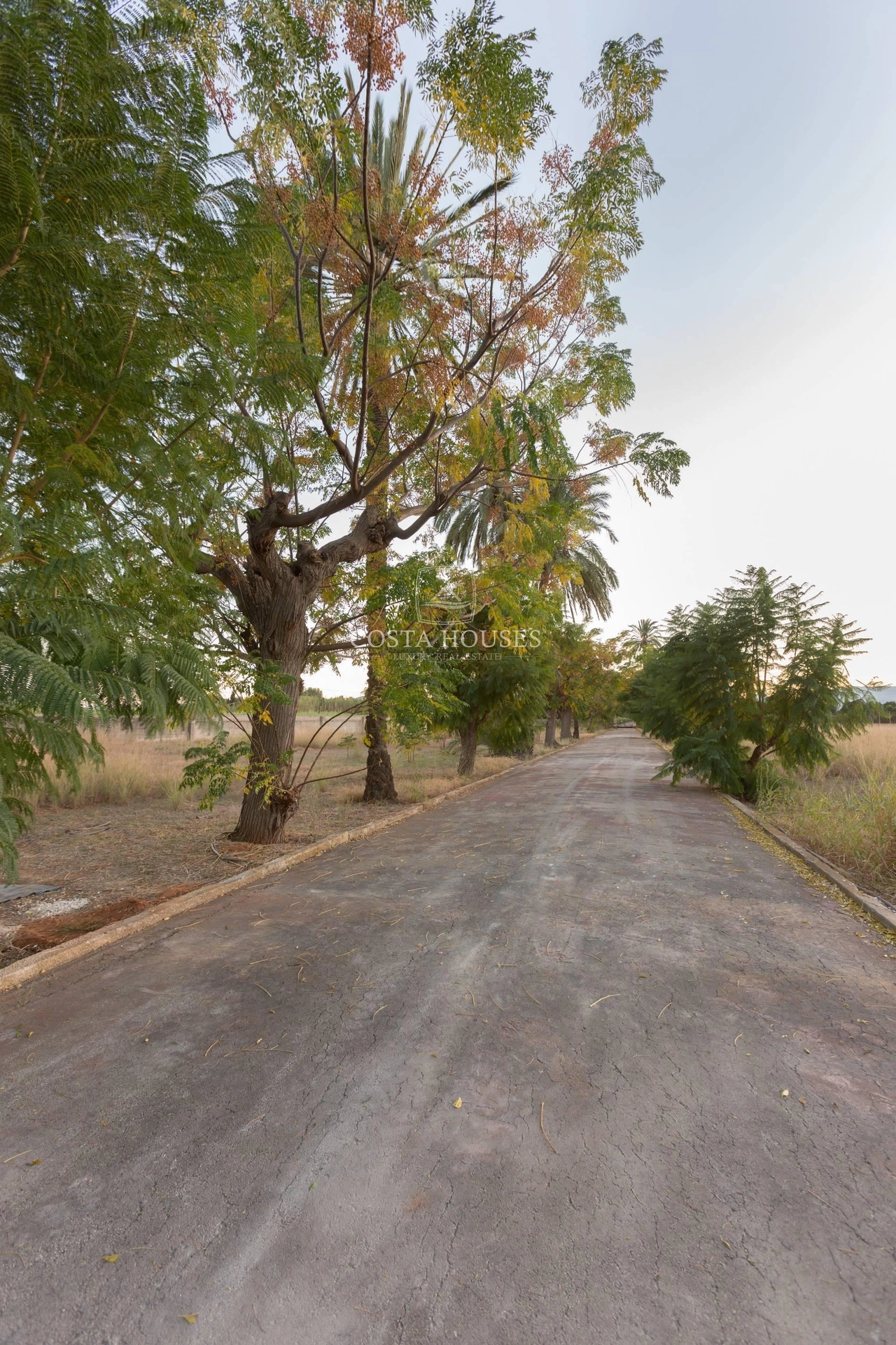 1429VL_THEBEAUTY - VILLA THE BEAUTY EN VENTA CERCA DEL MAR EN DENIA · COSTA BLANCA