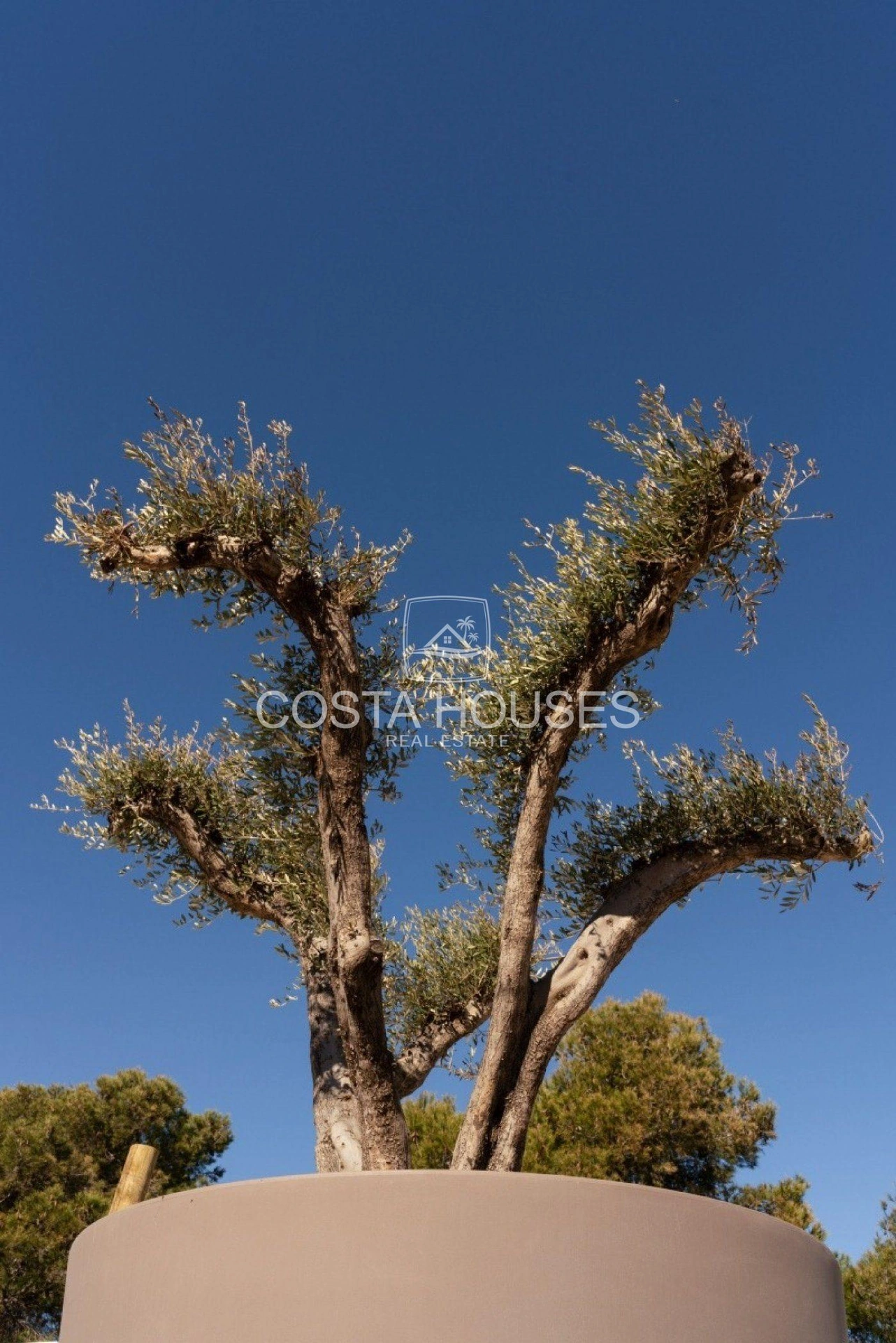 1998VL | MEDITERRANE - ▷ Acheter Villas de Luxe face à la Mer à Javea · COSTA BLANCA | Villas Première Ligne de Mer ☆