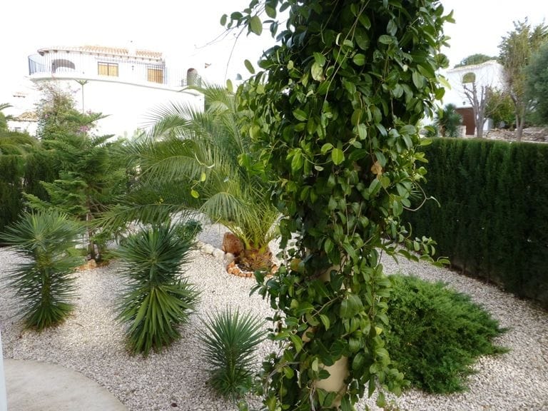 Casa / Chalet en Venta en Pego, Alicante