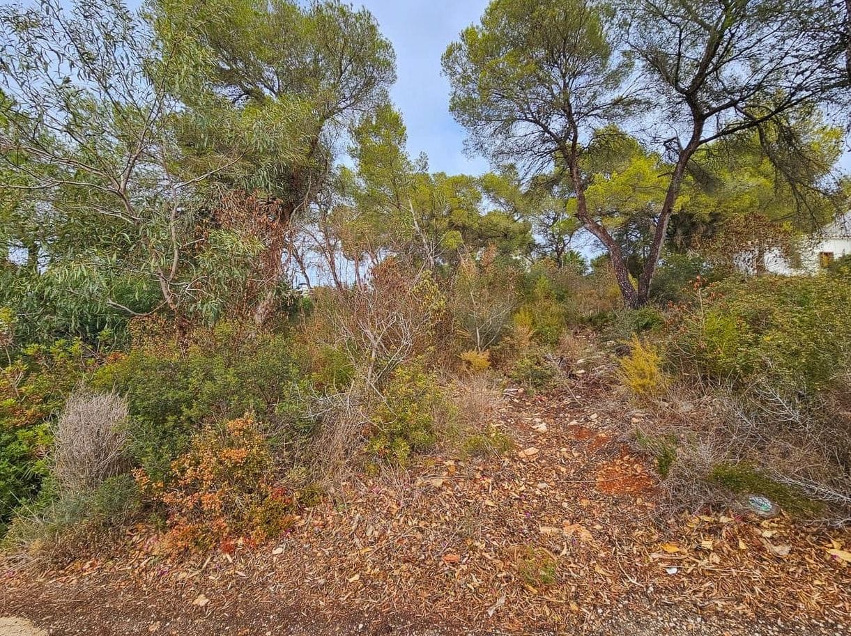 PARCELA EN VENTA EN COSTA NOVA, JÁVEA