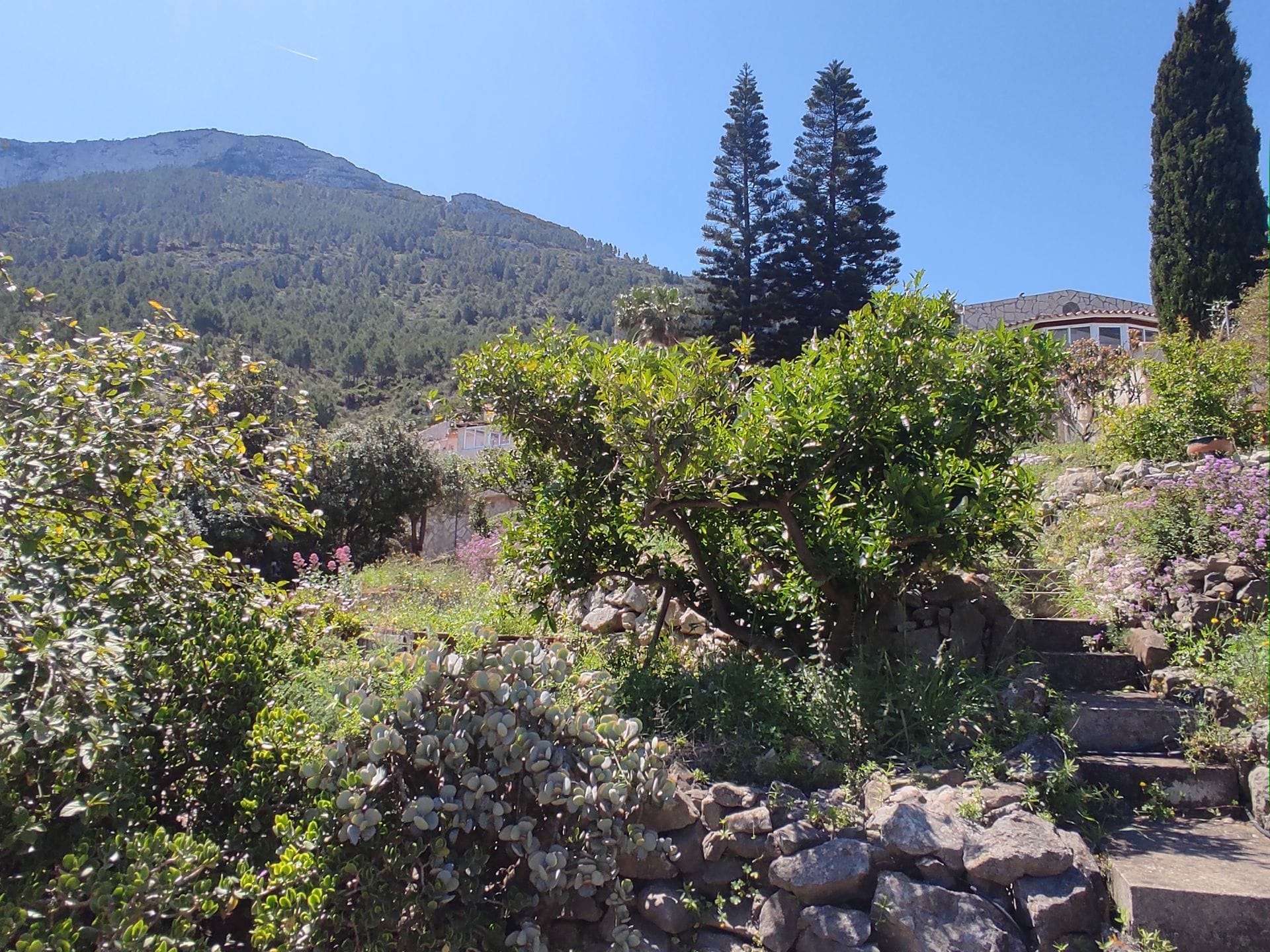 Chalet en Venta en Dénia