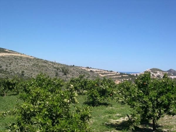 Casa / Chalet en Venta en Pedreguer, Alicante