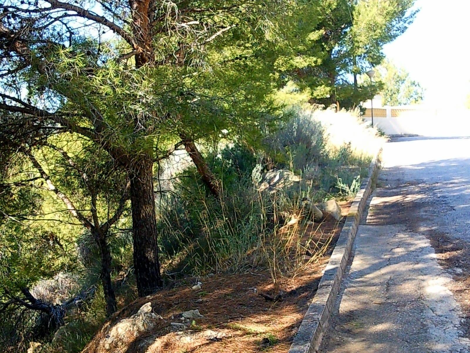 PARCELA EN CALPE, EMPEDROLA