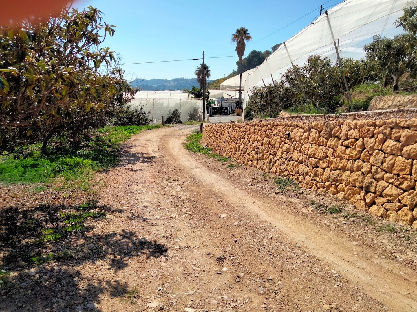 Farm for sale in Por Determinar