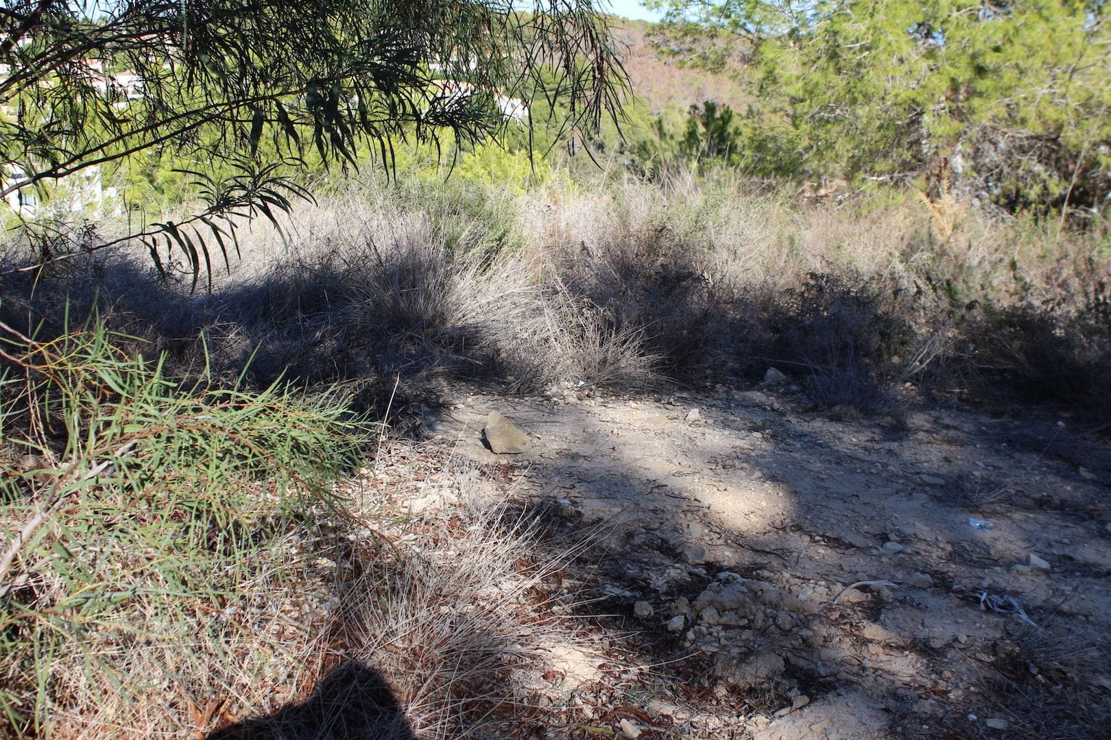 PLOT IN RACÓ DE GALENO