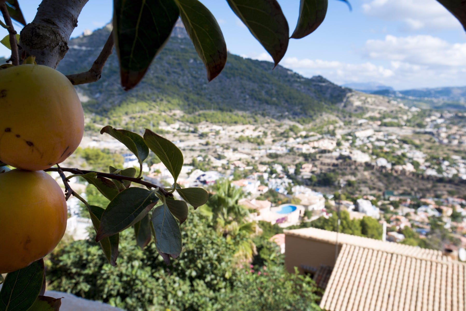 Venta. Chalet/Villa en Calpe