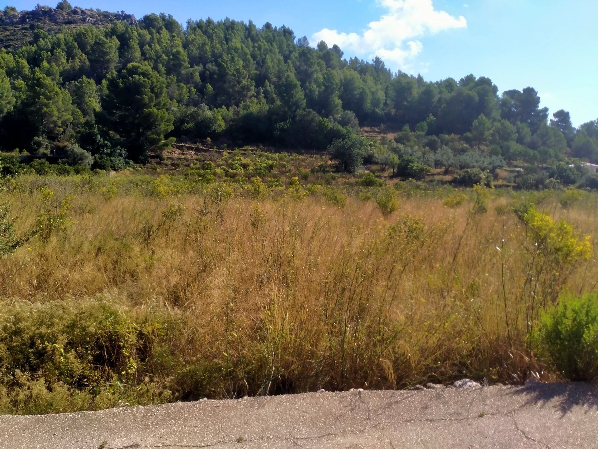 cldx4977 - Parcela en Sagra