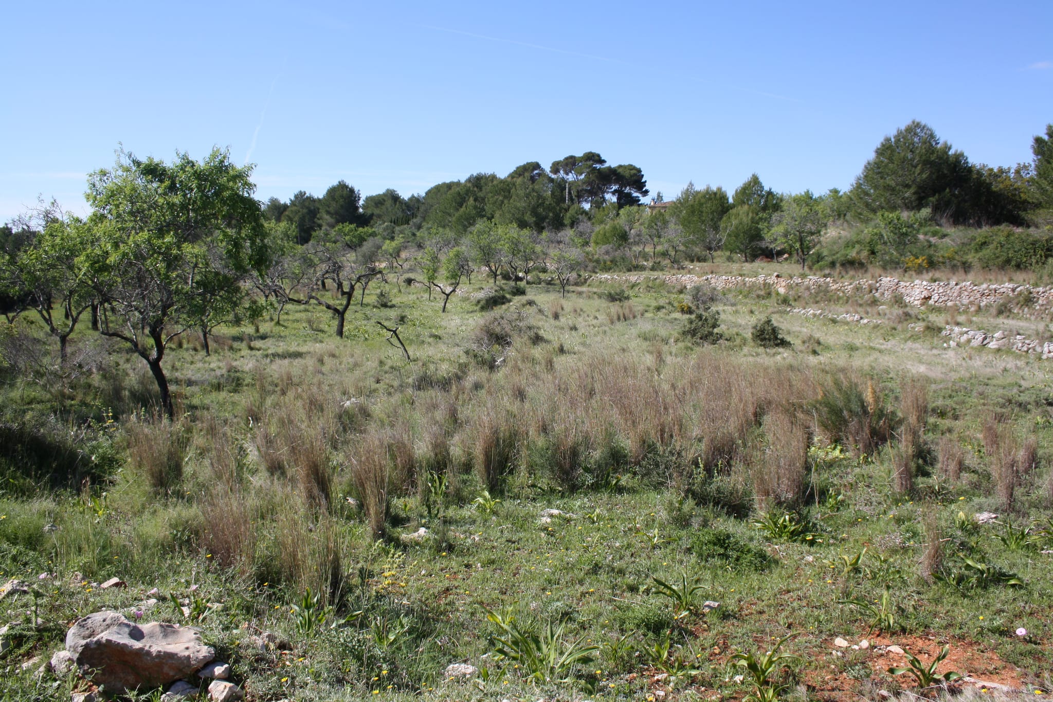 Villa en venta en Benissa