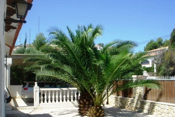 Casa / Chalet en Venta en Pedreguer, Alicante