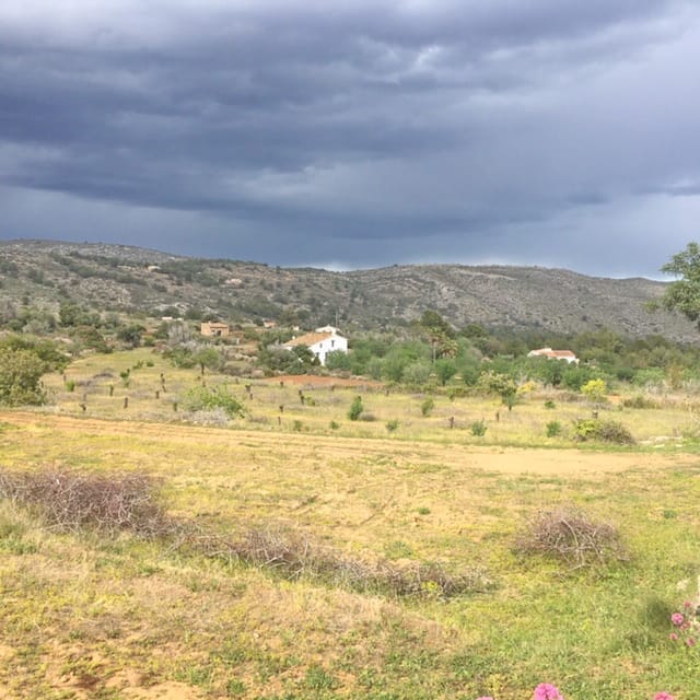 Venta. Parcela en Benissa