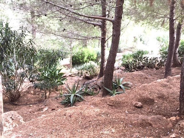 Chalet independiente en venta en Denia