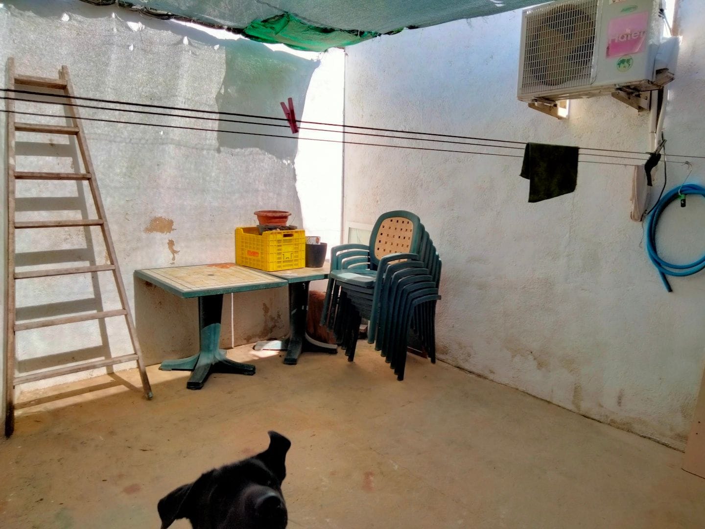 Farm for sale in Por Determinar