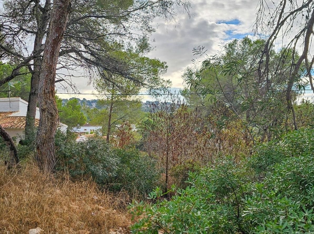 PARCELA EN VENTA EN COSTA NOVA, JÁVEA