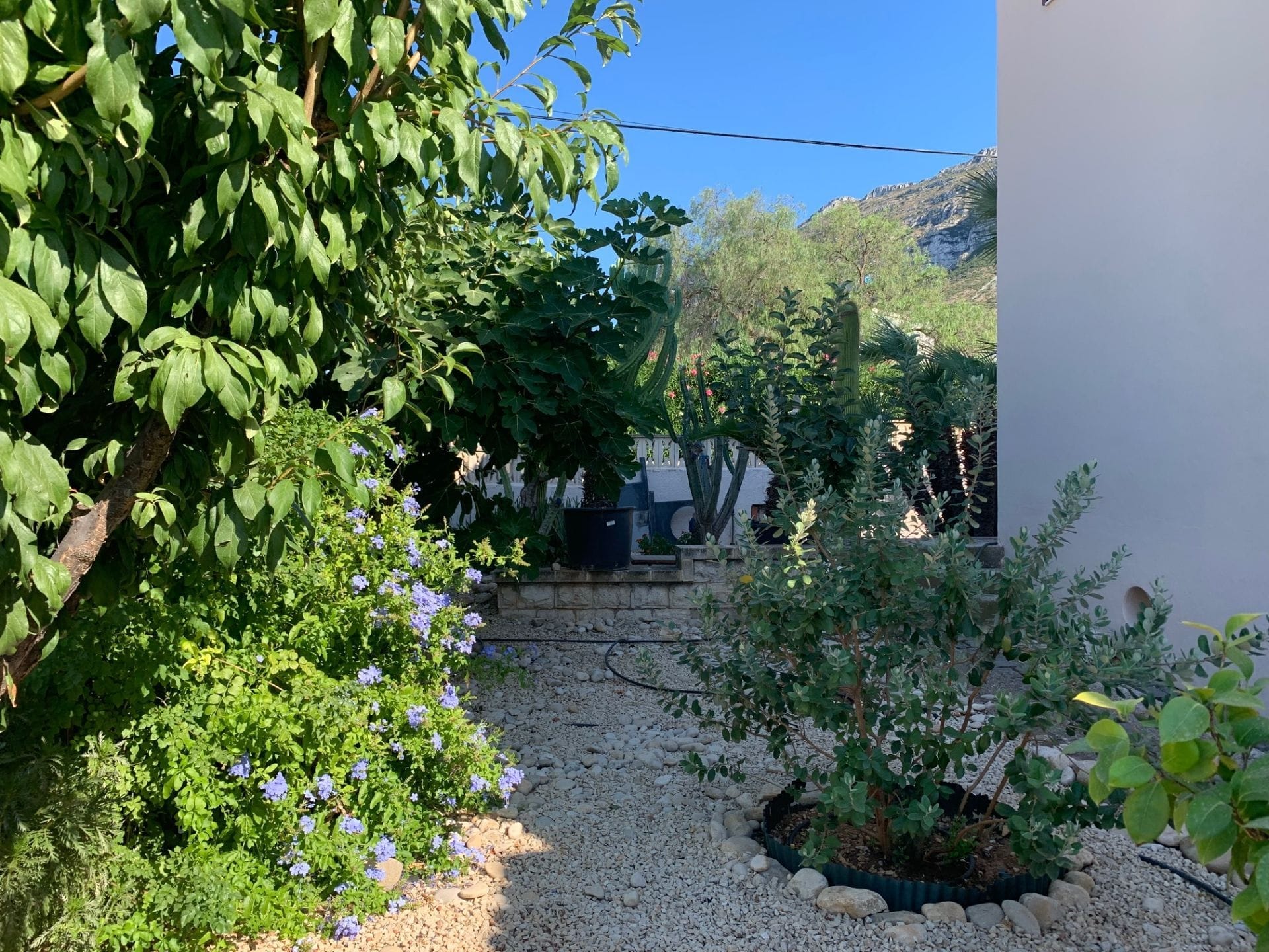 Mediterranes Chalet in Dénia – Miete mit Kaufoption