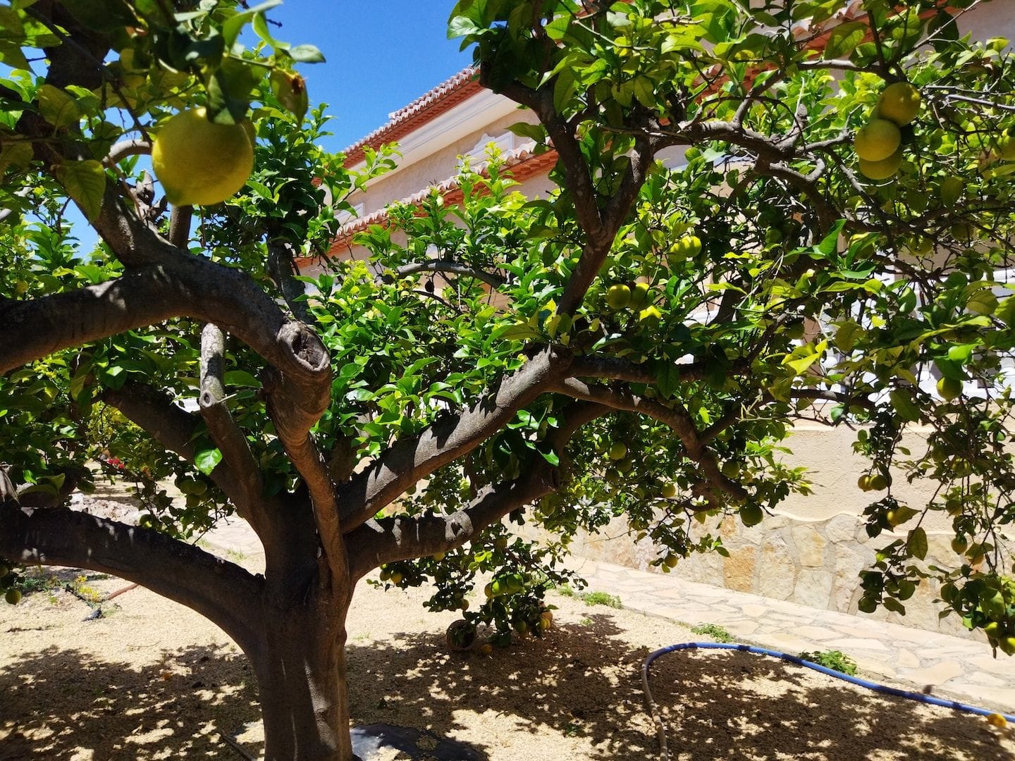 Villa à la vente à Calpe, Alicante