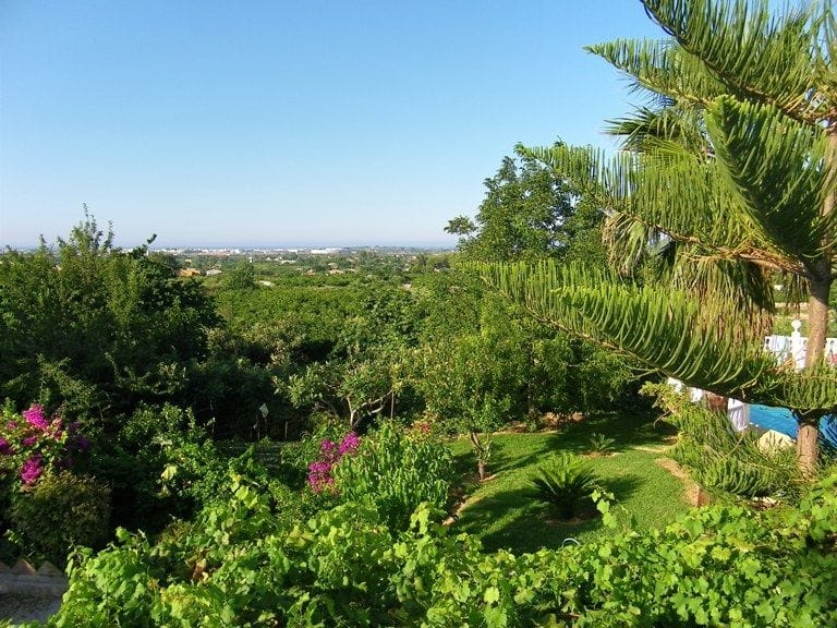 Casa / Chalet en Venta en Pedreguer, Alicante