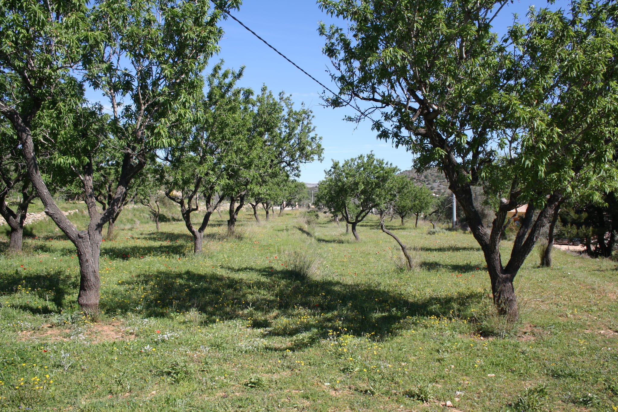 Villa en venta en Benissa