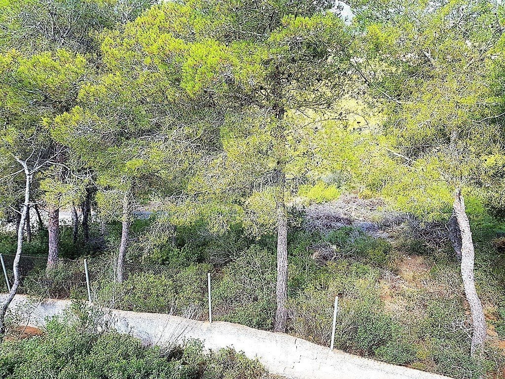 Casa / Chalet en Venta en Jávea, Alicante