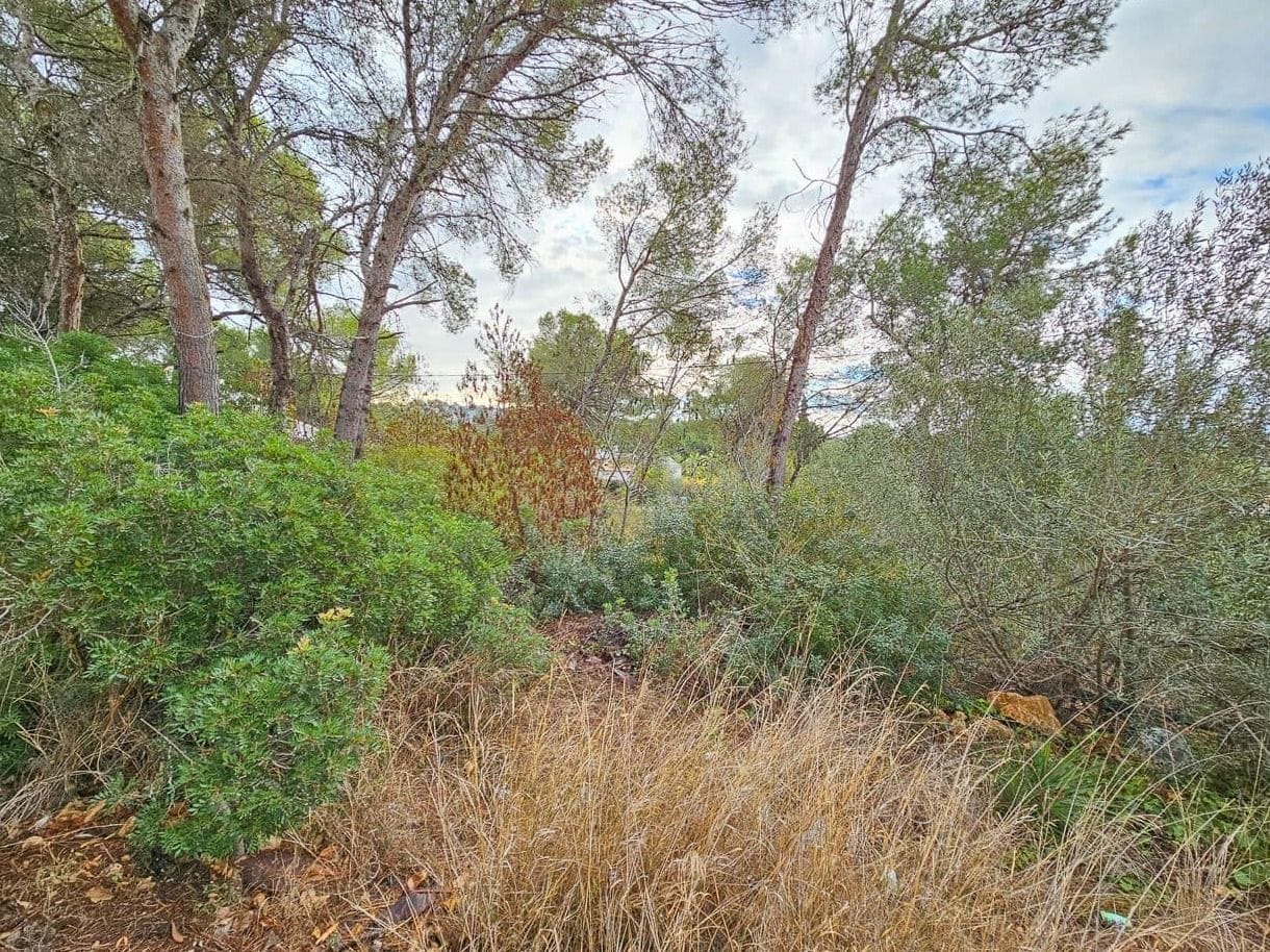 PARCELA EN VENTA EN COSTA NOVA, JÁVEA
