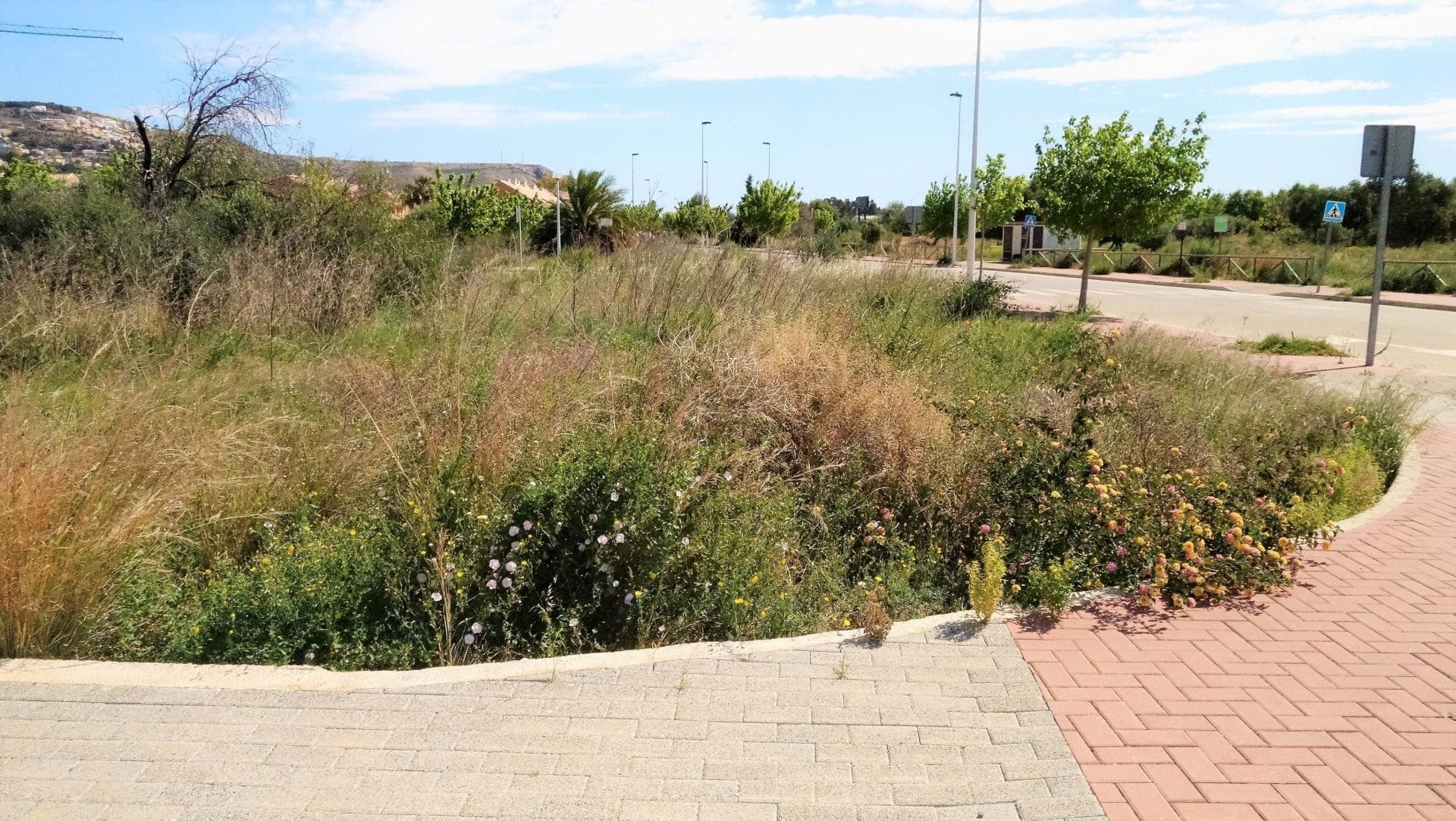 Parcela en Venta en Jávea, Alicante
