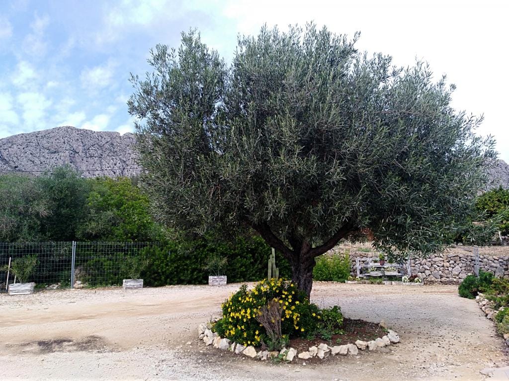 CHALET EN VENTA EN BENIARBEIG