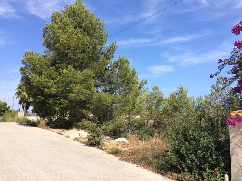 Parcela en Venta en Dénia, Alicante
