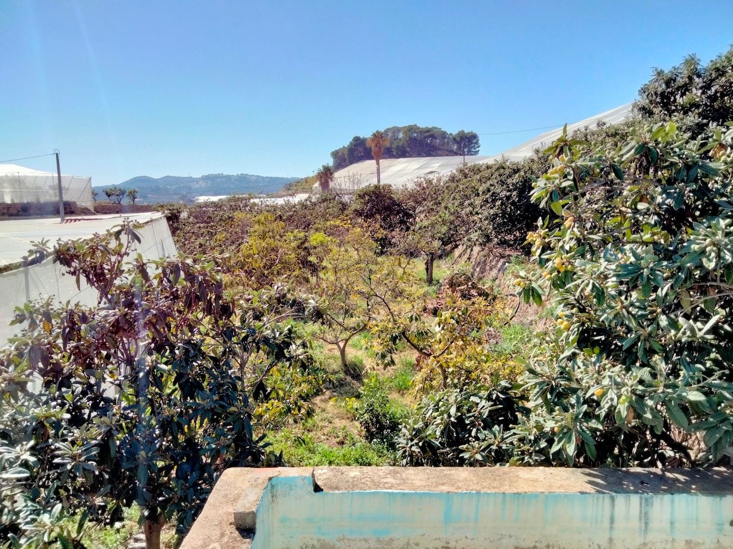 Farm for sale in Por Determinar