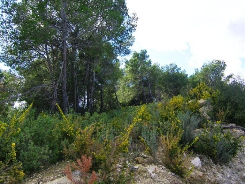 Parcela en Venta en Moraira, Alicante