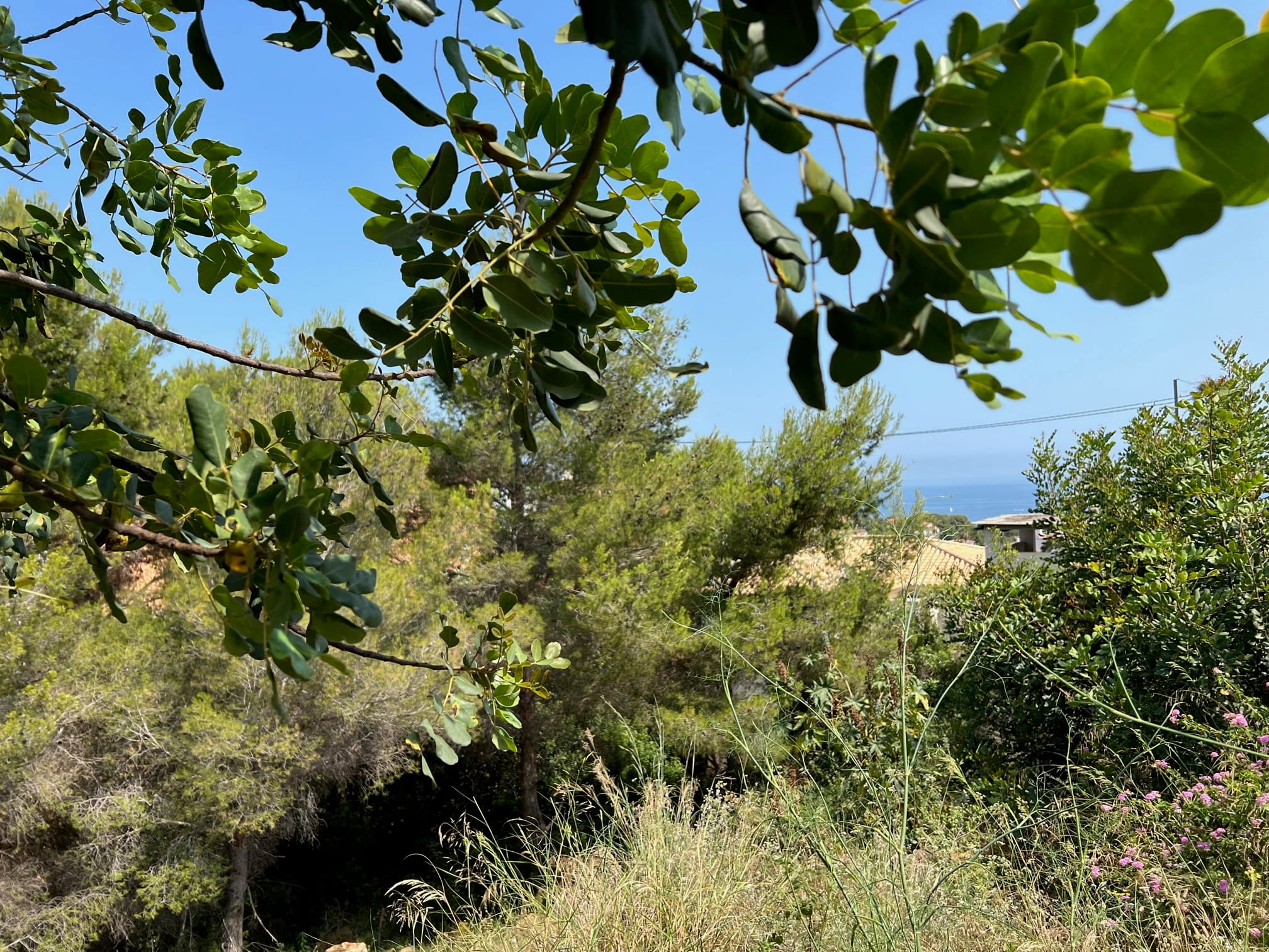 Terrain avec vue sur la mer et Montgó à Denia